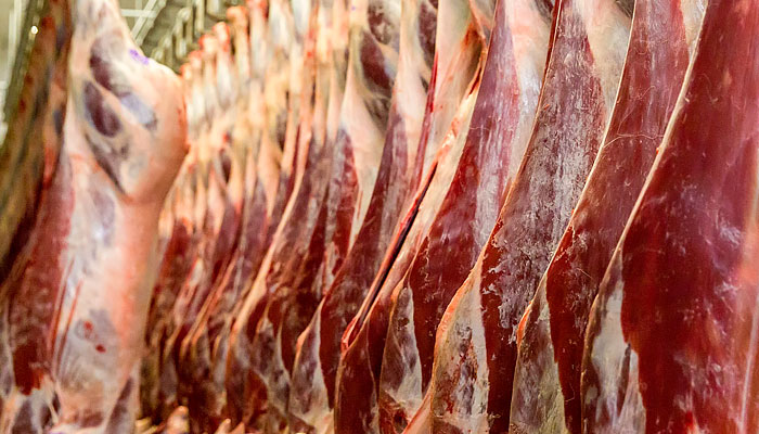 Свежее мясо оленя в Красноярске